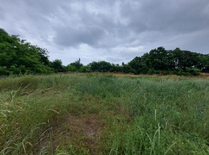 충남 당진시 송악읍 임야 경매 물건 사진 5 · 2025타경51360