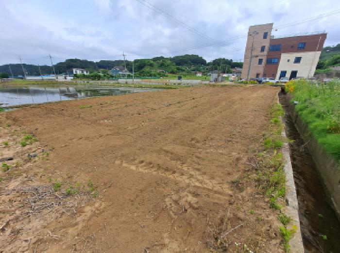 충남 당진시 채운동 전답 경매 물건 사진
