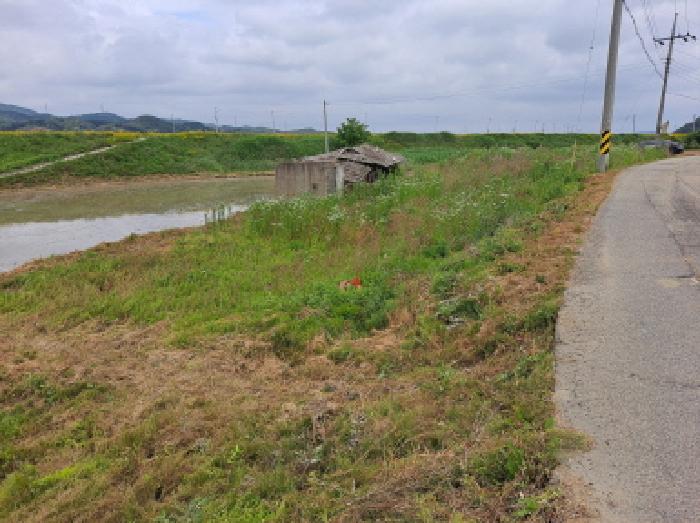 충남 당진시 채운동 전답 경매 물건 사진 5 · 2025타경51374