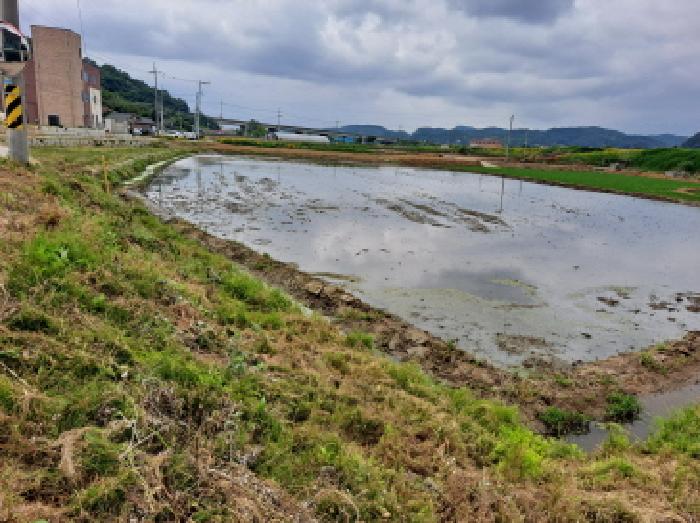 충남 당진시 채운동 전답 경매 물건 사진 6 · 2025타경51374
