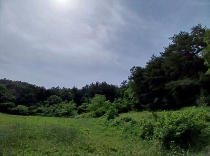 충남 서산시 성연면 임야 경매 물건 사진 2 · 2025타경51377