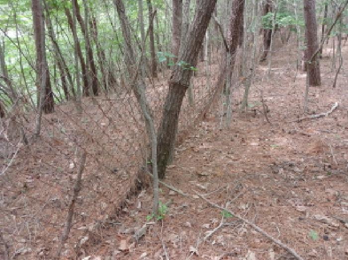 충남 서산시 성연면 임야 경매 물건 사진 4 · 2025타경51377