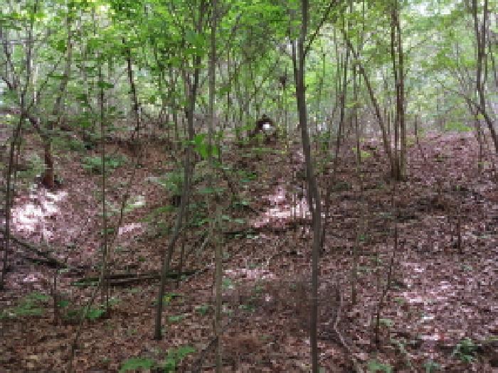 충남 서산시 성연면 임야 경매 물건 사진 5 · 2025타경51377