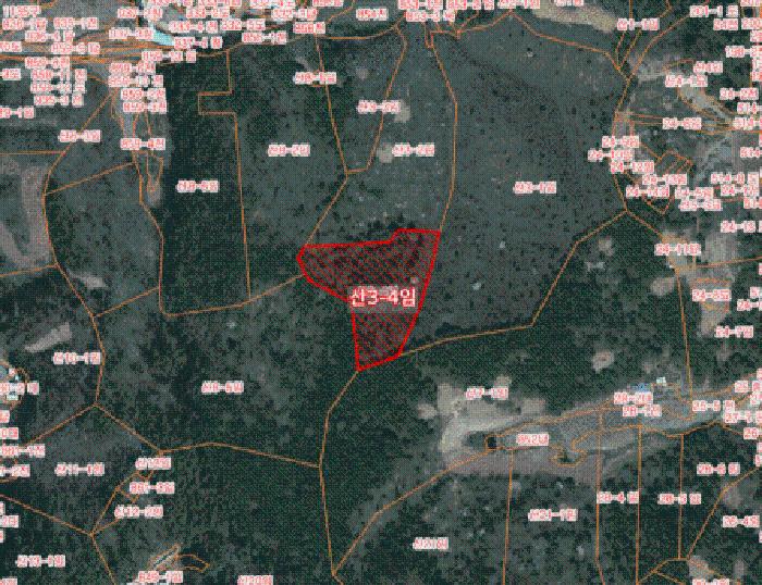 충남 서산시 성연면 임야 경매 물건 사진 6 · 2025타경51377
