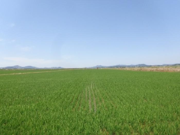 충남 서산시 부석면 전답 경매 물건 사진
