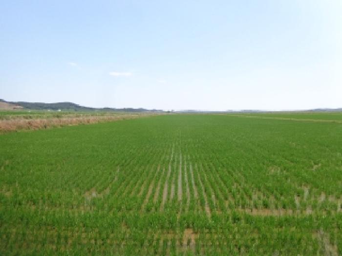 충남 서산시 부석면 전답 경매 물건 사진 2 · 2025타경51379