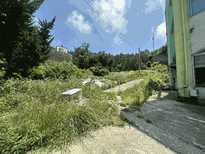 충청남도 태안군 소원면 모항리 466-15 답 경매 물건 사진