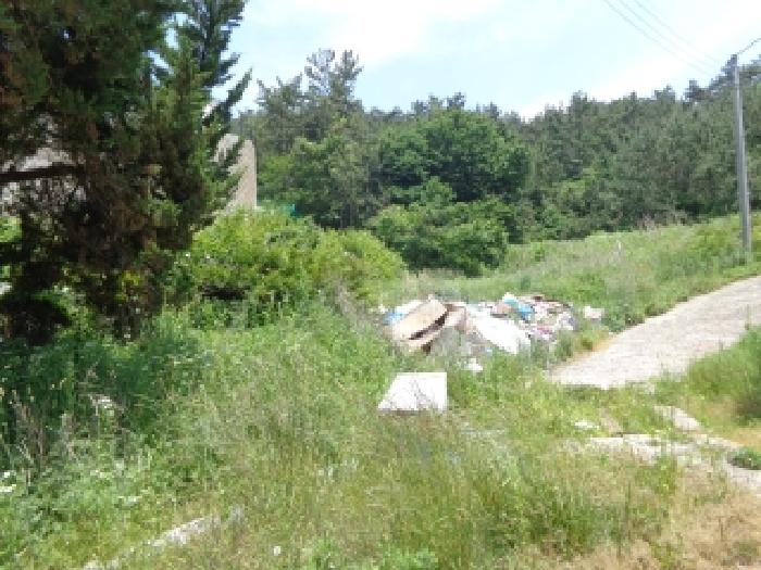 충남 태안군 소원면 답 경매 물건 사진 3 · 2025타경51382