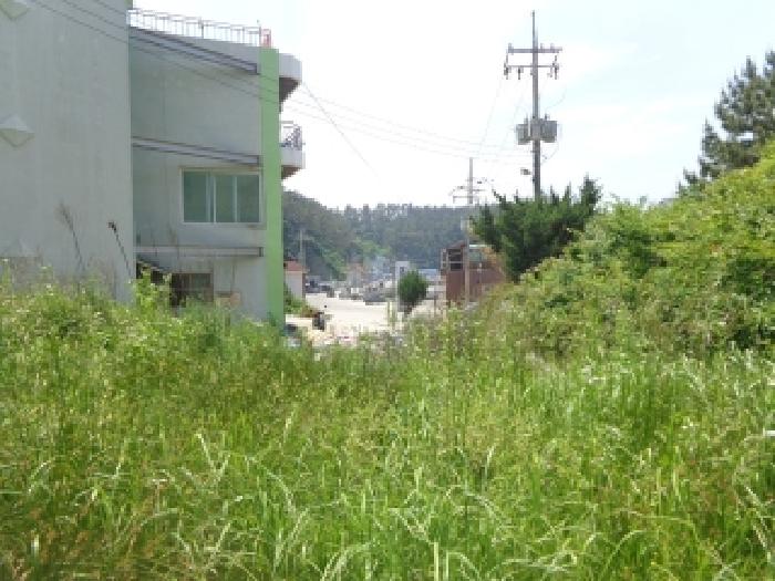 충남 태안군 소원면 답 경매 물건 사진 4 · 2025타경51382