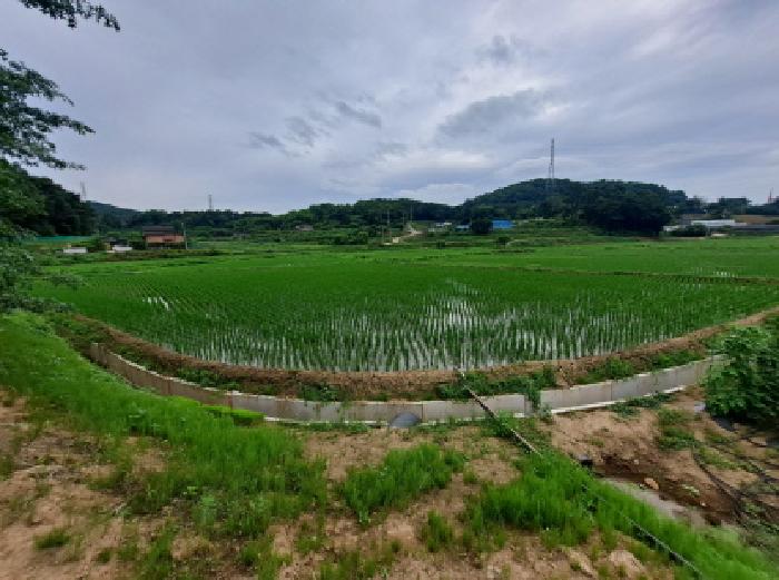 충남 당진시 송악읍 전답 경매 물건 사진 2 · 2025타경51385