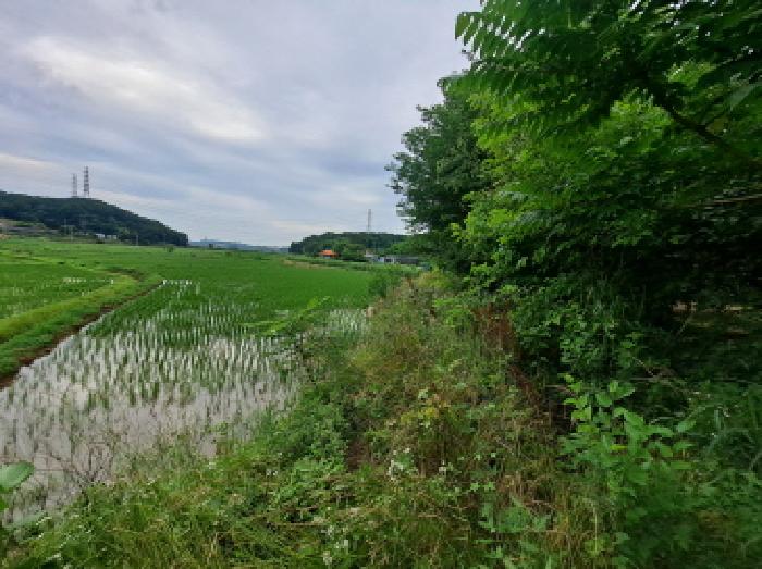 충남 당진시 송악읍 전답 경매 물건 사진 3 · 2025타경51385
