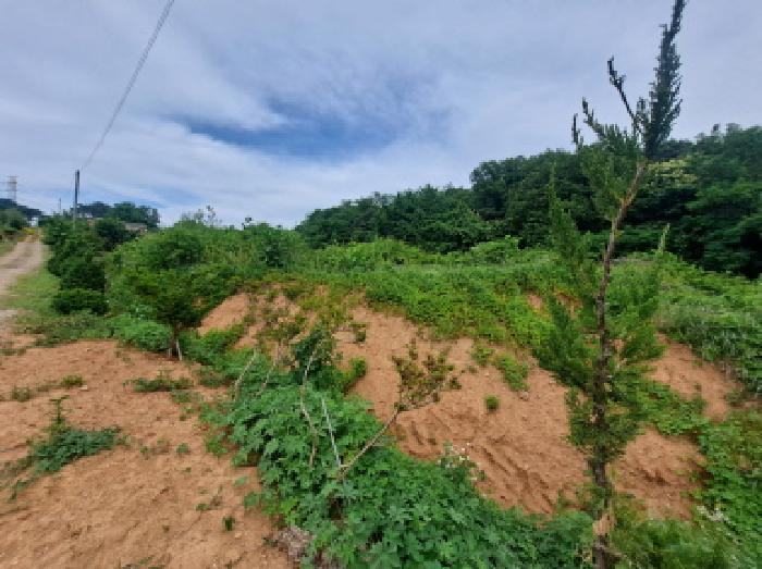 충남 당진시 송악읍 전 경매 물건 사진 2 · 2025타경51391