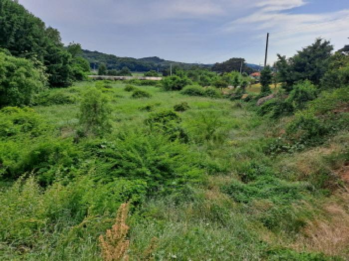 충남 당진시 송악읍 전 경매 물건 사진 5 · 2025타경51391