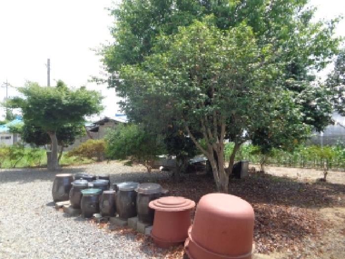 충남 서산시 부석면 전 경매 물건 사진 4 · 2025타경51392