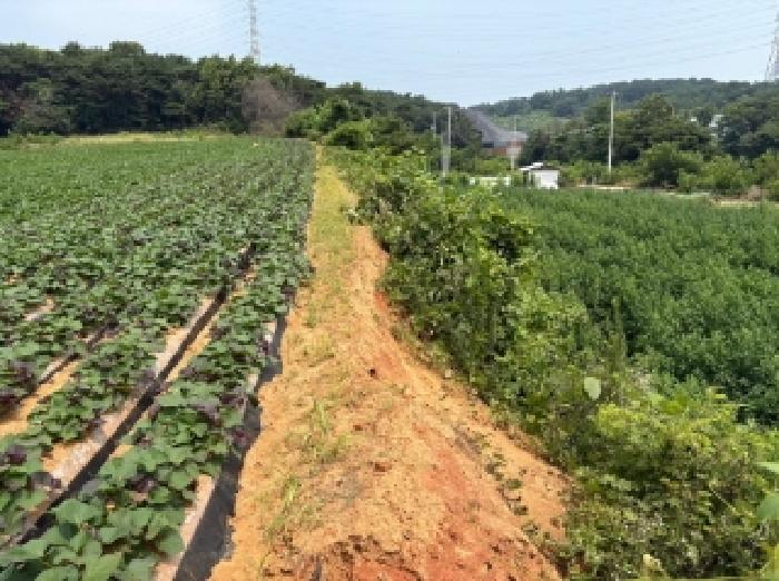 충남 당진시 송악읍 대지,임야,전답 경매 물건 사진
