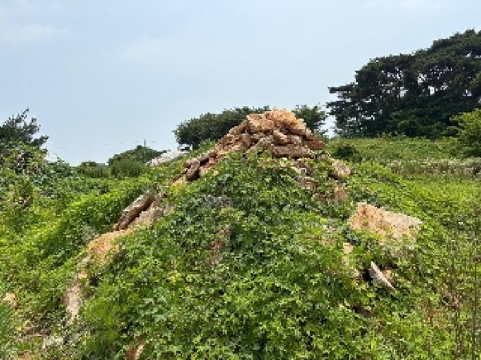 충남 당진시 송악읍 대지,임야,전답 경매 물건 사진 4 · 2025타경51422