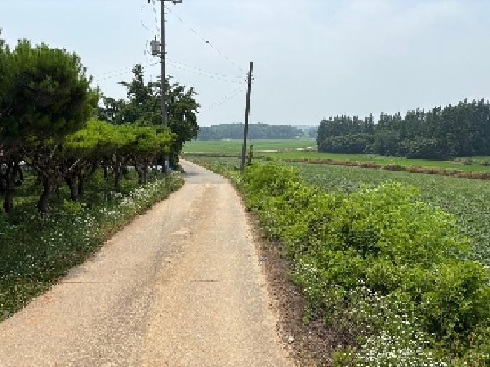 충남 당진시 송악읍 전답 경매 물건 사진