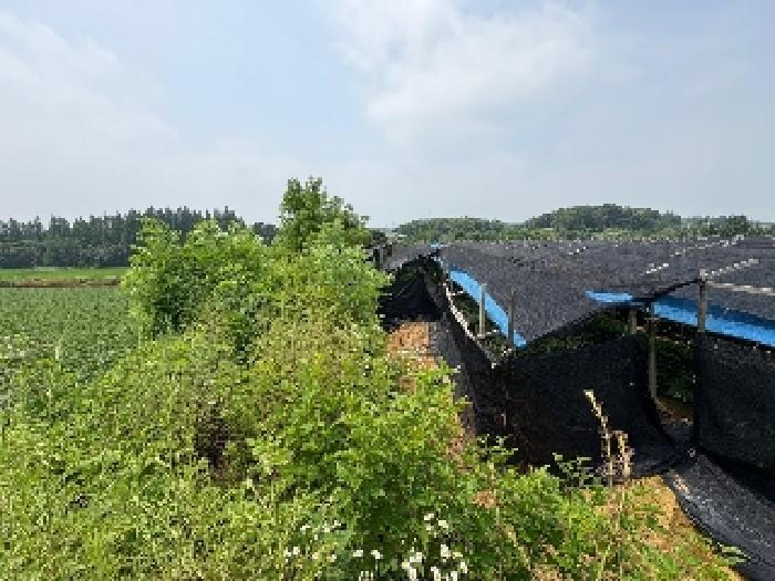충남 당진시 송악읍 전답 경매 물건 사진 4 · 2025타경51424