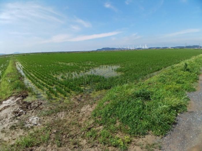 충남 당진시 석문면 전답 경매 물건 사진 3 · 2025타경51427