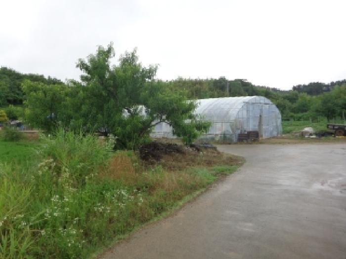충남 서산시 팔봉면 전답 경매 물건 사진 2 · 2025타경51428