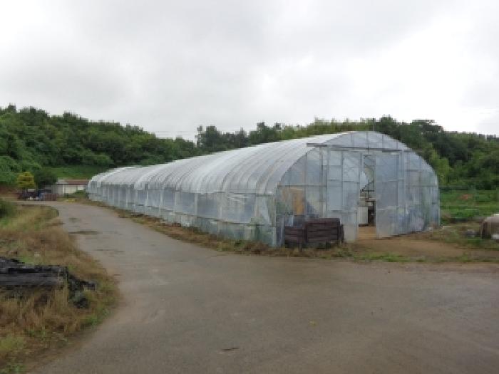 충남 서산시 팔봉면 전답 경매 물건 사진 3 · 2025타경51428