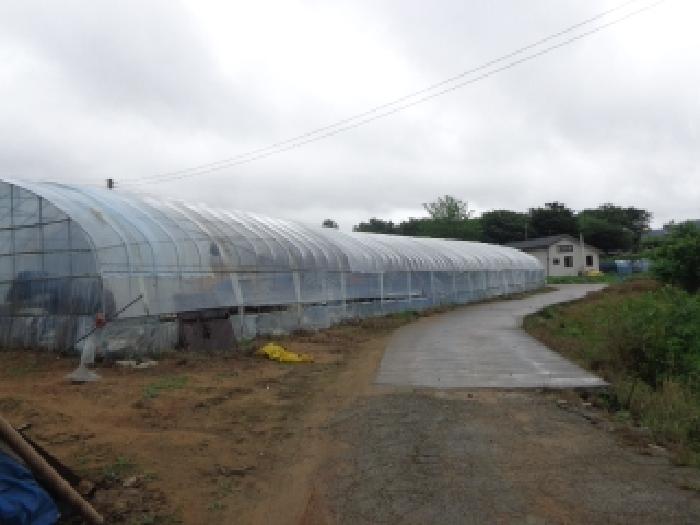 충남 서산시 팔봉면 전답 경매 물건 사진 4 · 2025타경51428