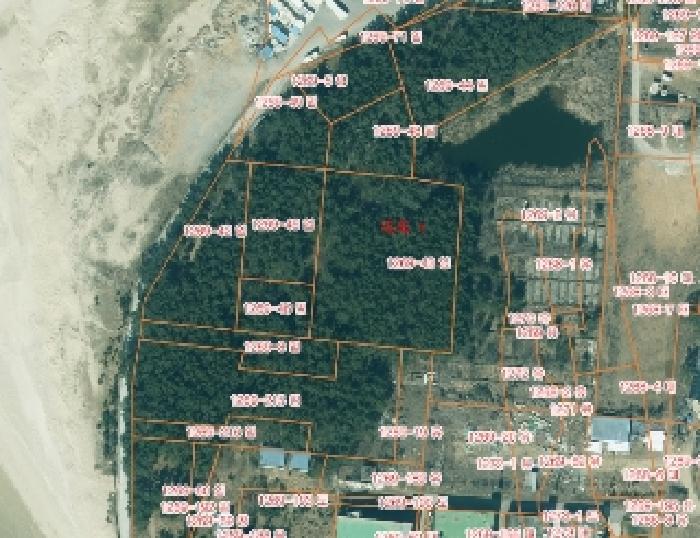 충남 태안군 안면읍 임야 경매 물건 사진