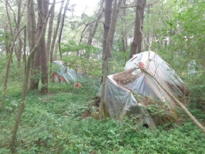 충남 태안군 안면읍 임야 경매 물건 사진 4 · 2025타경51430