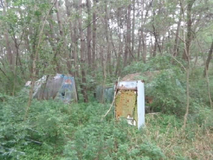 충남 태안군 안면읍 임야 경매 물건 사진 5 · 2025타경51430