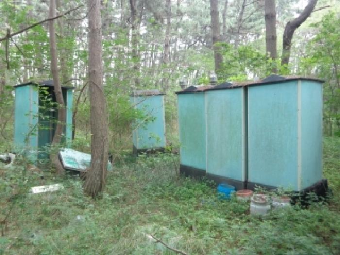 충남 태안군 안면읍 임야 경매 물건 사진 3 · 2025타경51430