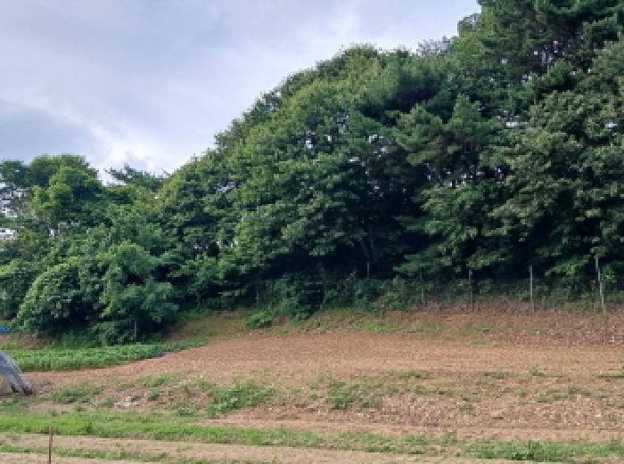 충남 서산시 해미면 임야 경매 물건 사진 2 · 2025타경51434