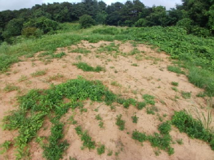 충남 서산시 해미면 임야 경매 물건 사진 5 · 2025타경51434
