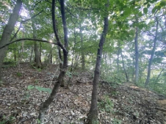 충남 당진시 시곡동 전답 경매 물건 사진 3 · 2025타경51435