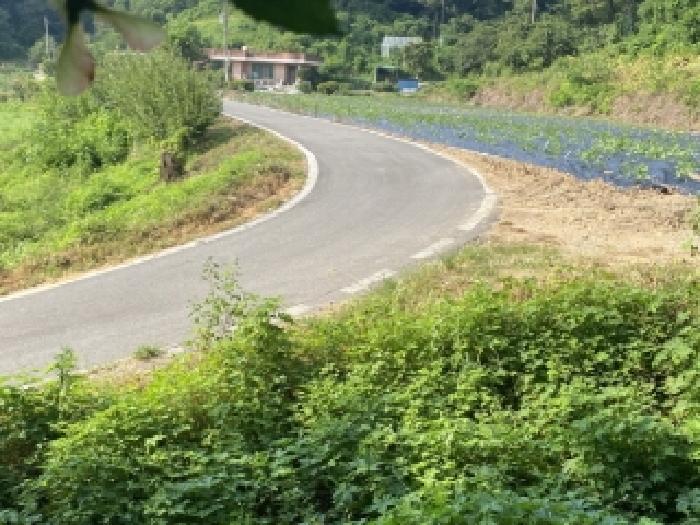 충남 당진시 시곡동 전답 경매 물건 사진 5 · 2025타경51435