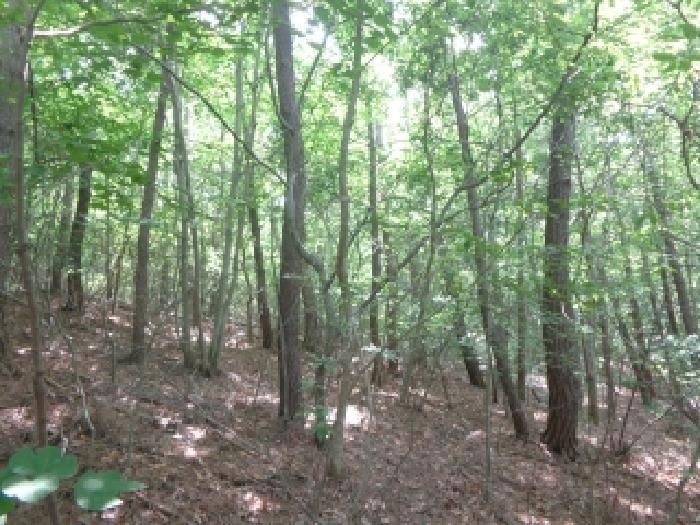 충남 서산시 팔봉면 임야 경매 물건 사진 2 · 2025타경51442