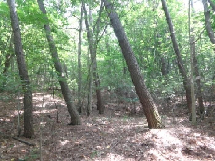 충남 서산시 팔봉면 임야 경매 물건 사진 3 · 2025타경51442