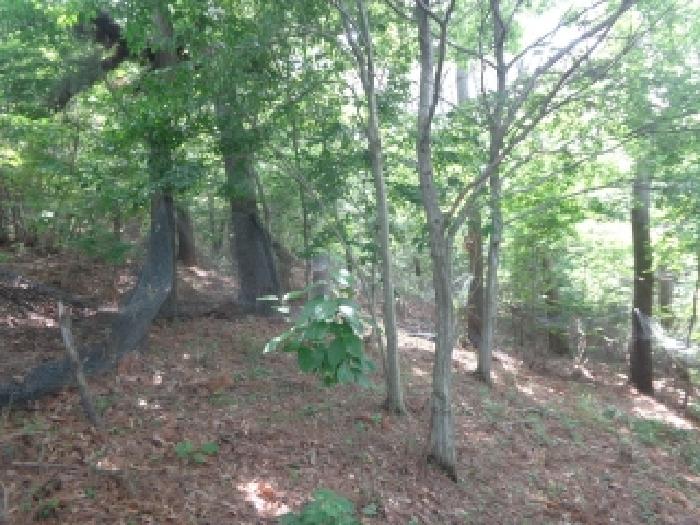 충남 서산시 팔봉면 임야 경매 물건 사진 5 · 2025타경51442