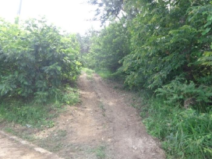 충남 서산시 팔봉면 임야 경매 물건 사진 6 · 2025타경51442