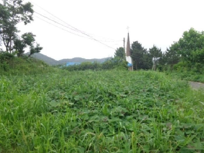 충남 태안군 안면읍 전답 경매 물건 사진 4 · 2025타경51448