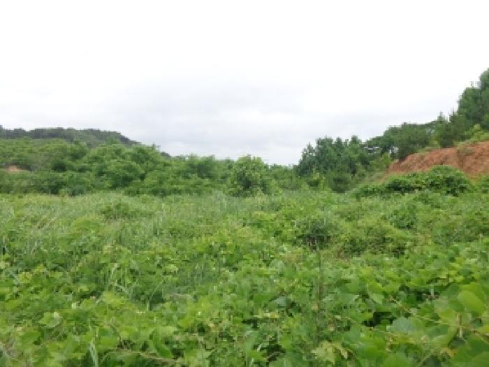 충남 태안군 안면읍 전답 경매 물건 사진 5 · 2025타경51448