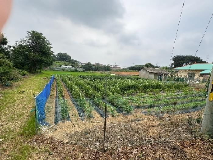 충남 당진시 송악읍 답 경매 물건 사진 2 · 2025타경51463