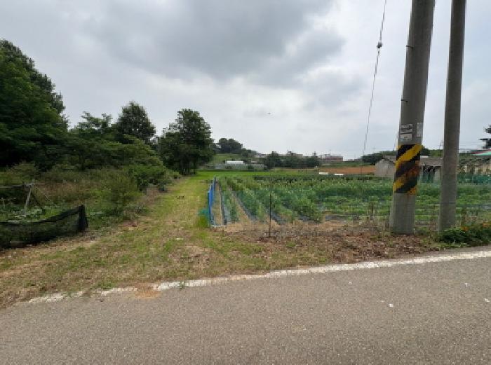 충남 당진시 송악읍 답 경매 물건 사진 6 · 2025타경51463