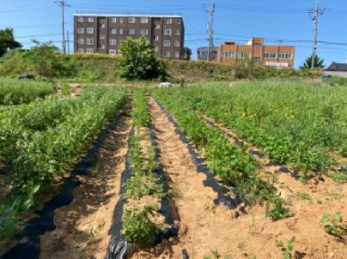 충남 당진시 우강면 전답 경매 물건 사진 2 · 2025타경51473