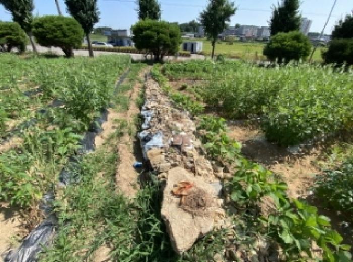 충남 당진시 우강면 전답 경매 물건 사진 4 · 2025타경51473