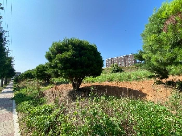 충남 당진시 우강면 전답 경매 물건 사진 5 · 2025타경51473