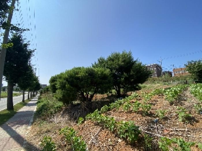 충남 당진시 우강면 전답 경매 물건 사진 6 · 2025타경51473