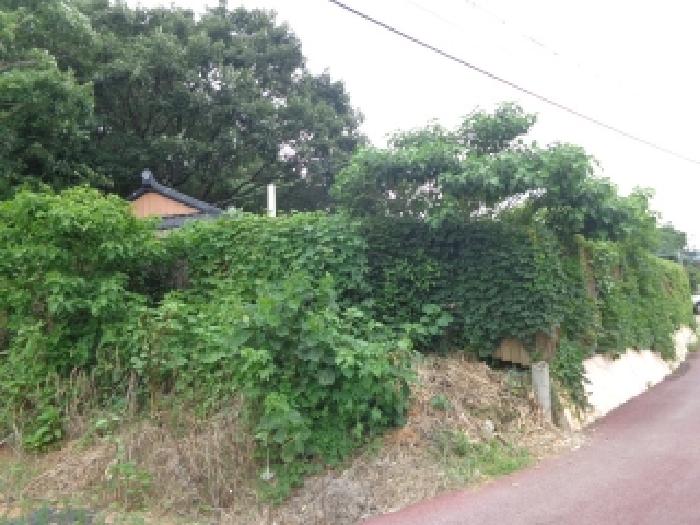 충남 태안군 안면읍 대지 경매 물건 사진 2 · 2025타경51476
