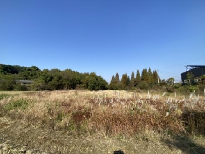 충남 당진시 송악읍 전답 경매 물건 사진 4 · 2025타경51481