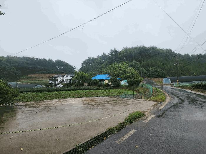 충남 태안군 안면읍 도로 경매 물건 사진 6 · 2025타경51485