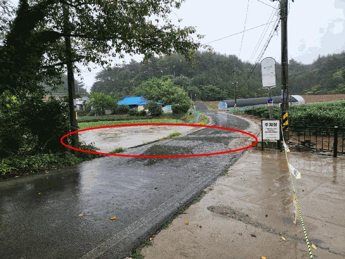 충남 태안군 안면읍 도로 경매 물건 사진 3 · 2025타경51485